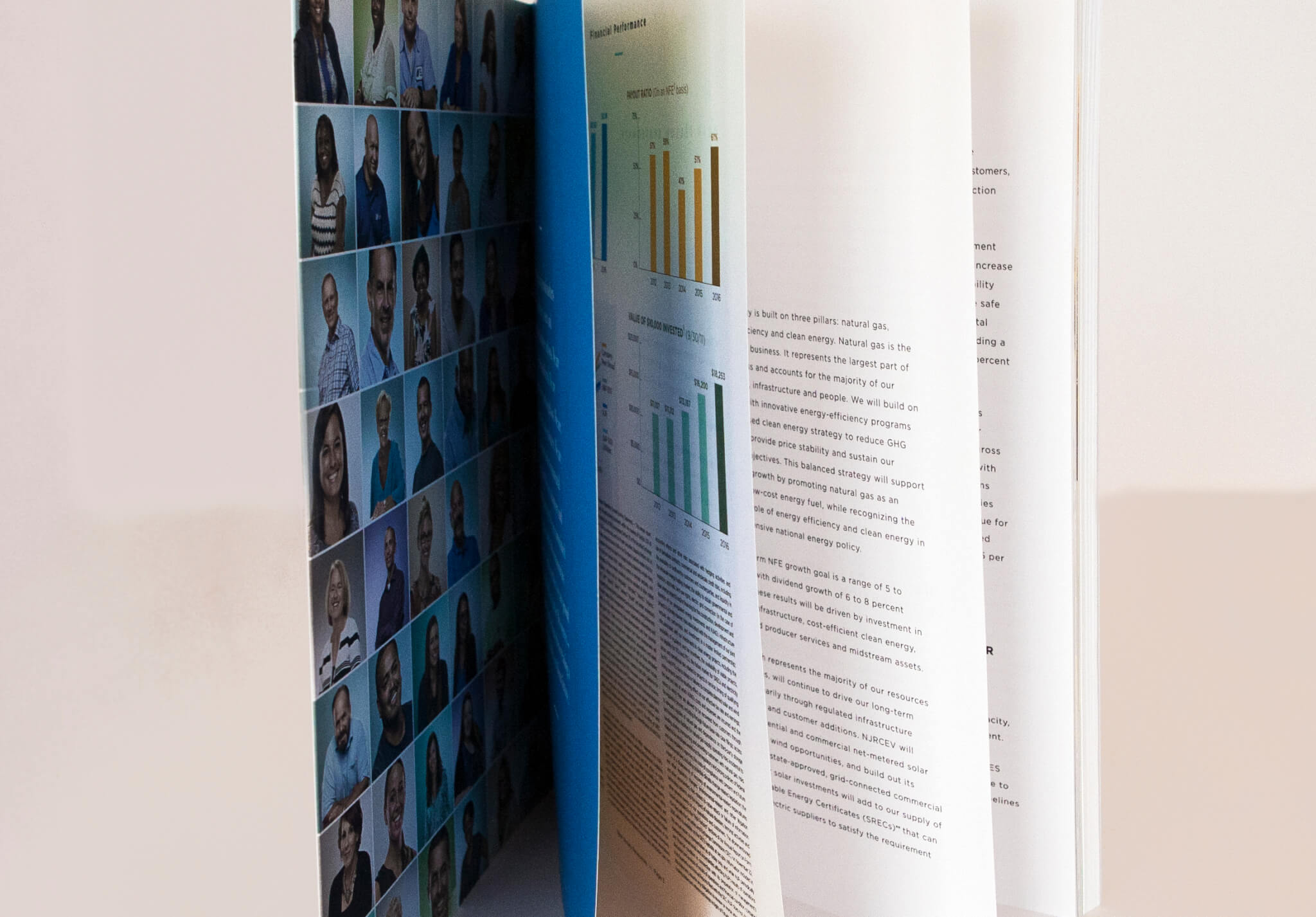 3-dd-case-NJR-Annual Report-fanshot