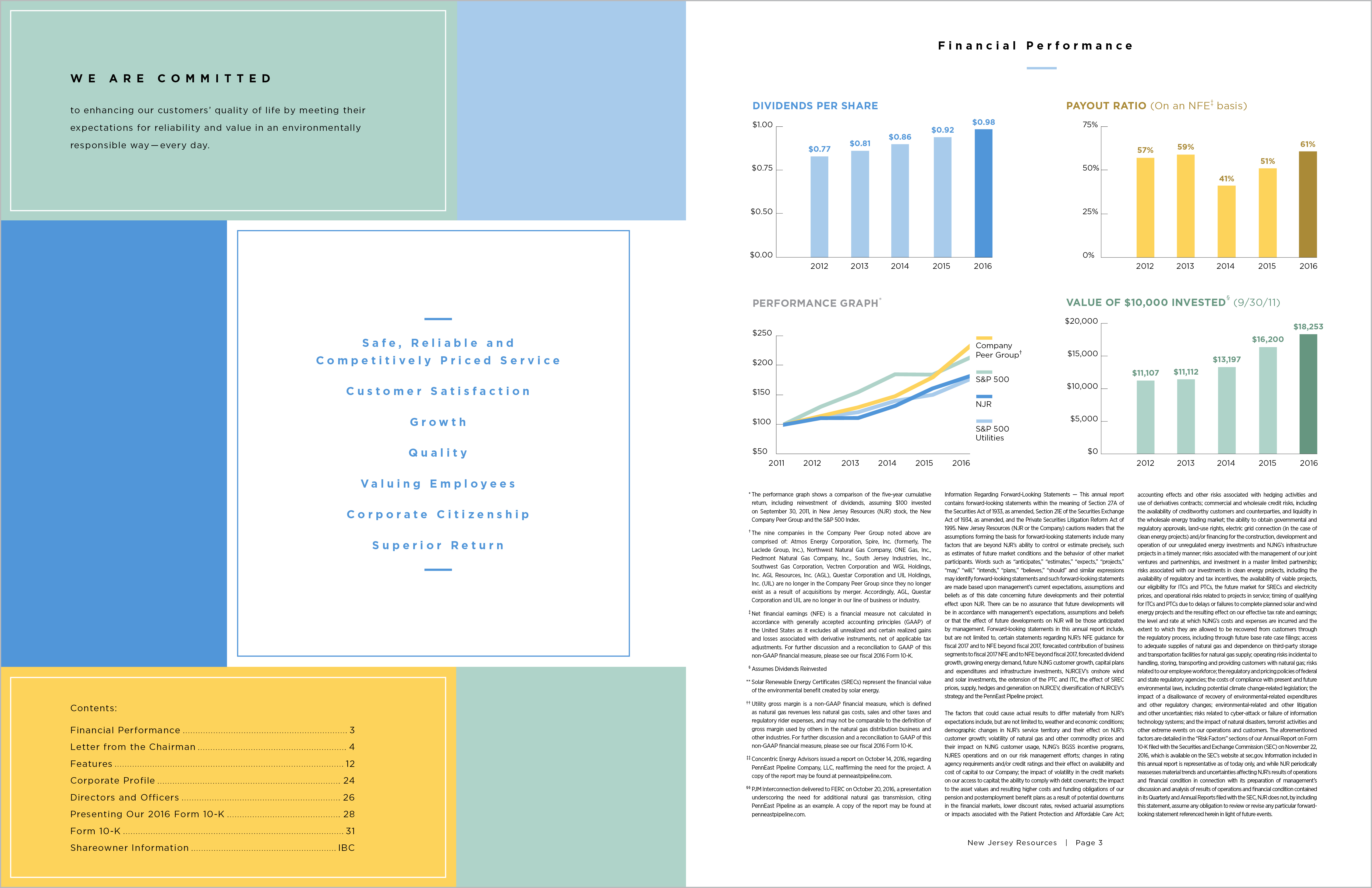 4-dd-case-NJR-Annual Report-Page1