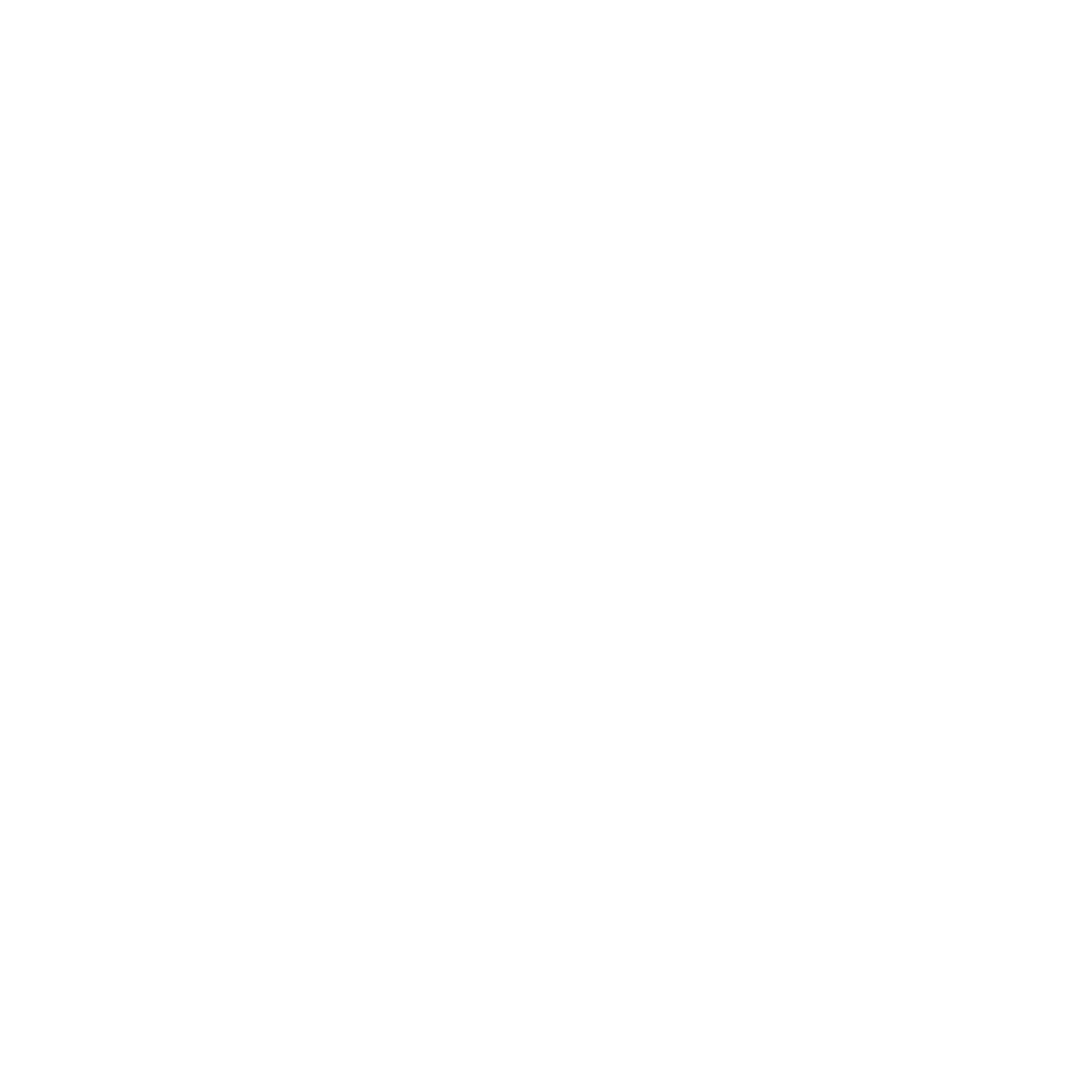 Boise Schiller Flexner