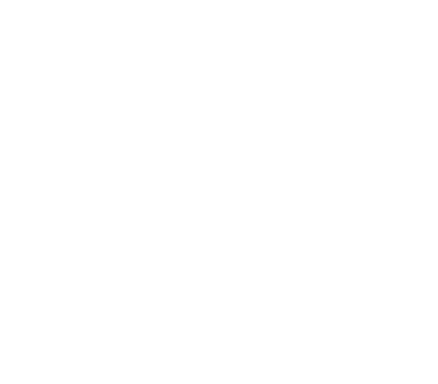 Schiffer Hicks Johnson