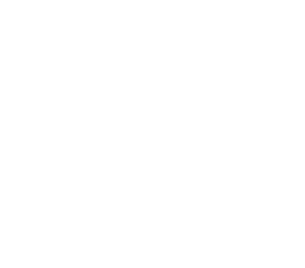 Capital