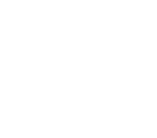 Sullivan & Cromwell LLP