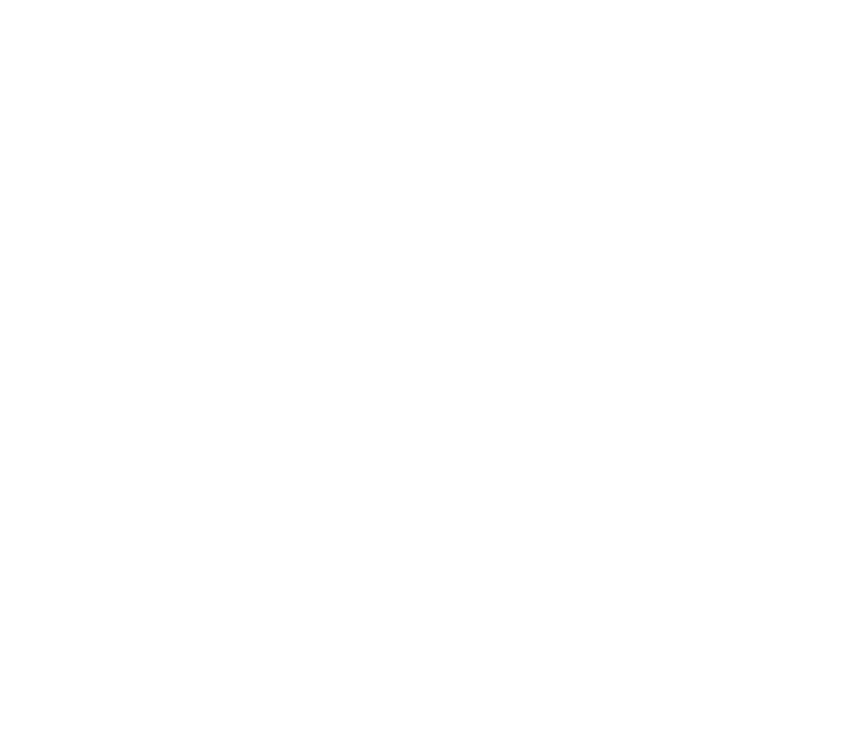 Robert Wood Johnson Foundation