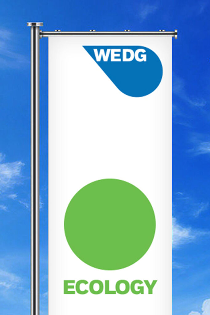 WEDG Program